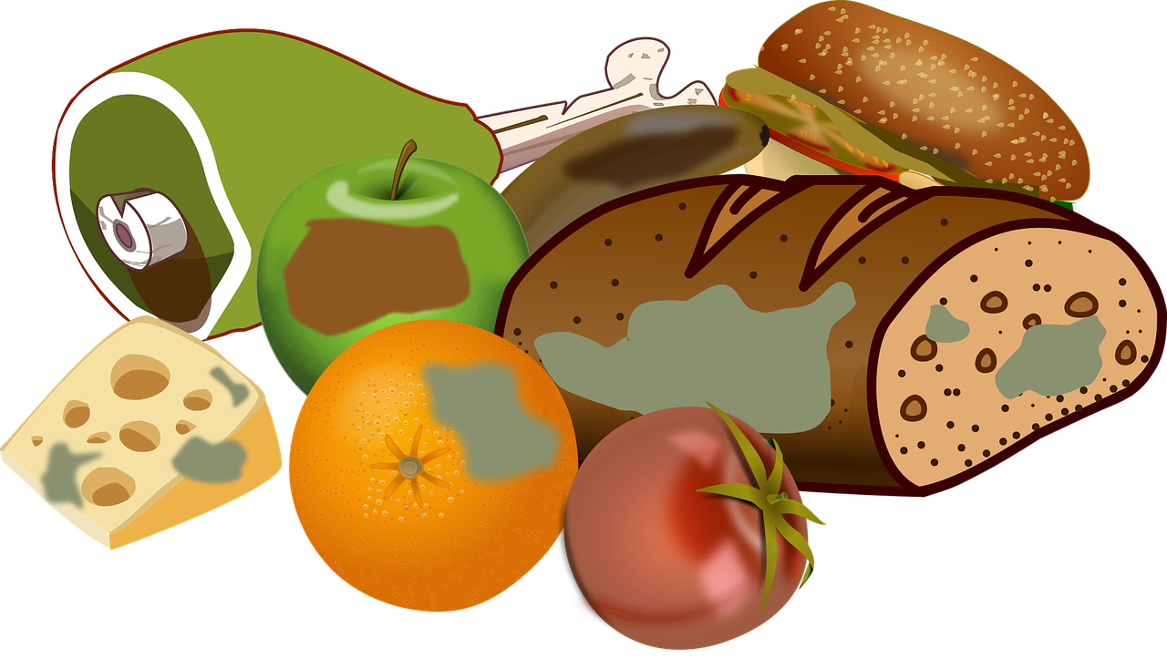 entdecken sie effektive tipps und strategien zur reduzierung von lebensmittelverschwendung. erfahren sie, wie sie nachhaltiger einkaufen, lagern und kochen können, um ressourcen zu schonen und die umwelt zu schützen.
